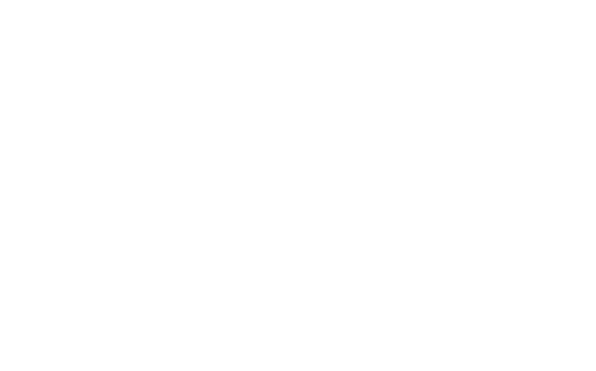 handshake cooperation icon