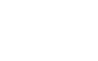 delivery van graphic
